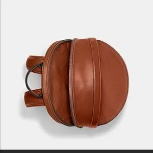Disney | Bags | Nwt Coach X Disney Limited Edition Leather  display picture 3